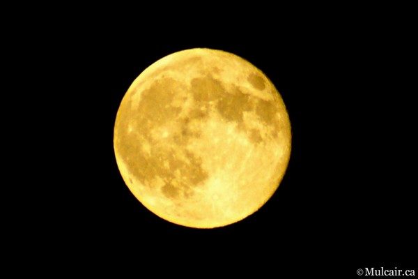 Full Moon