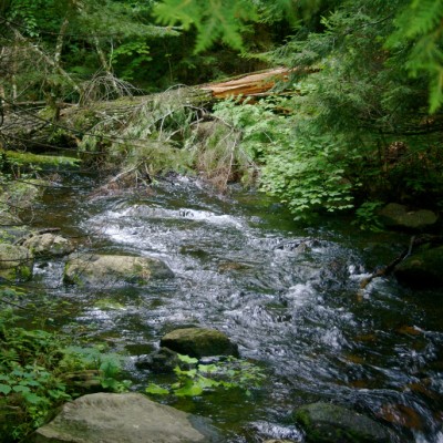 green-stream