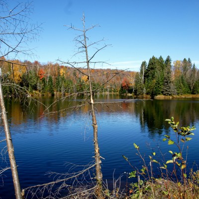 lake-blues