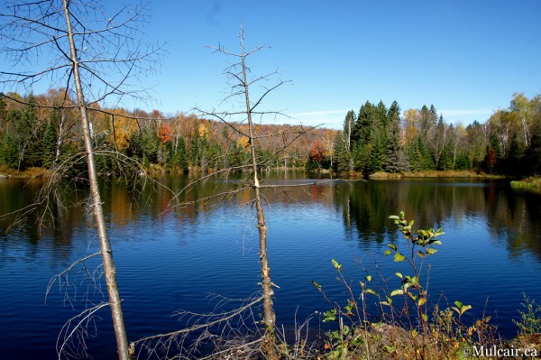Lake Blues